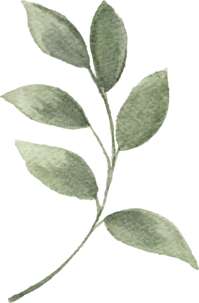 Watercolor aesthetic green leaves.